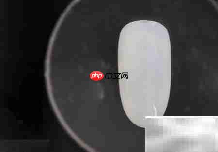 金线毛格子美甲教程