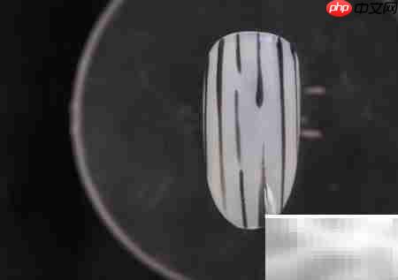 金线毛格子美甲教程