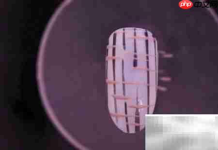 金线毛格子美甲教程