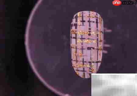 金线毛格子美甲教程