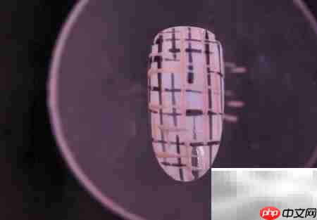 金线毛格子美甲教程