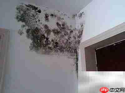 笔记本四大杀手揭秘