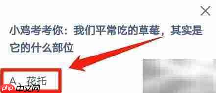 草莓我们吃的是哪个部位?