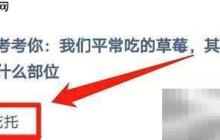 草莓我们吃的是哪个部位？