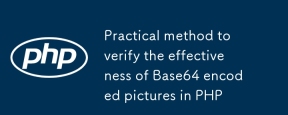 PHP で Base64 エンコードされた画像の有効性を検証する実用的な方法