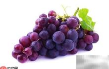 常见碱性食物一览