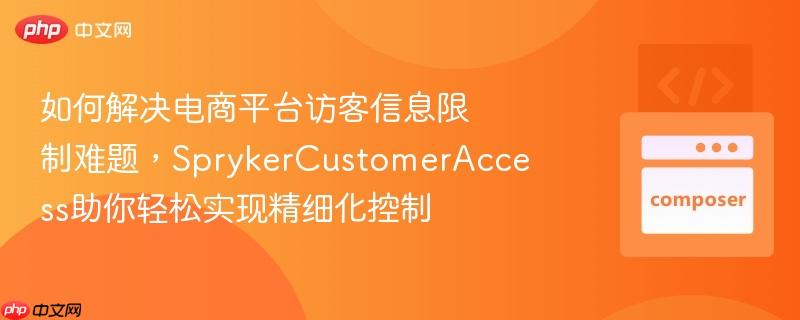 如何解决电商平台访客信息限制难题，SprykerCustomerAccess助你轻松实现精细化控制