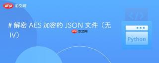 # 解密 AES 加密的 JSON 文件（无 IV）