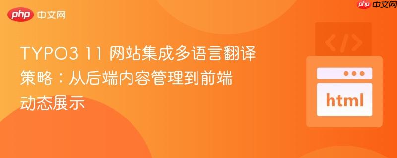 typo3 11 网站集成多语言翻译策略：从后端内容管理到前端动态展示