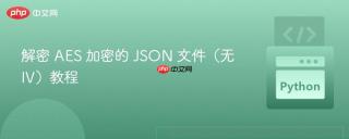 解密 AES 加密的 JSON 文件（无 IV）教程