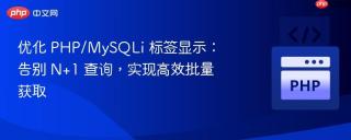 优化 PHP/MySQLi 标签显示：告别 N+1 查询，实现高效批量获取
