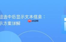 单选按钮选中后显示文本信息：水平显示方案详解