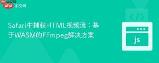 Safari中捕获HTML视频流：基于WASM的FFmpeg解决方案