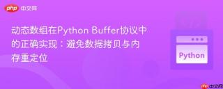 动态数组在Python Buffer协议中的正确实现：避免数据拷贝与内存重定位