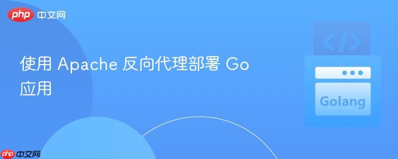 使用 Apache 反向代理部署 Go 应用