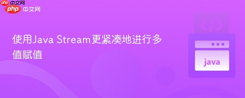 使用Java Stream更紧凑地进行多值赋值