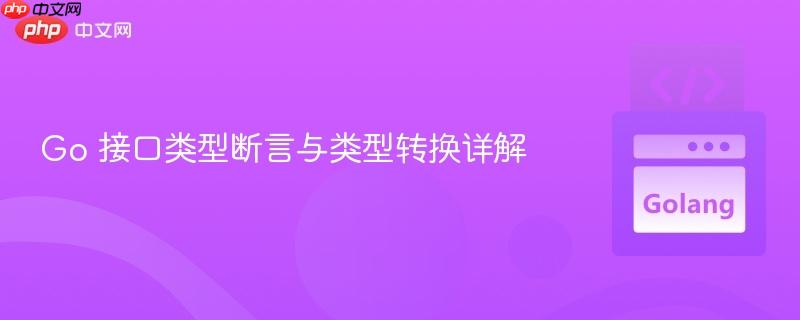 go 接口类型断言与类型转换详解