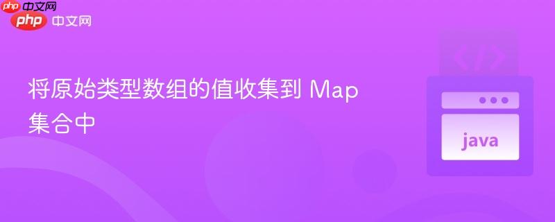 将原始类型数组的值收集到 Map 集合中