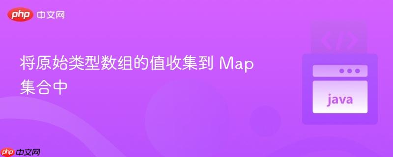将原始类型数组的值收集到 map 集合中