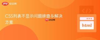 css列表不显示问题排查与解决方案