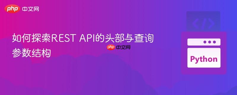 如何探索REST API的头部与查询参数结构