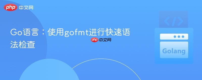 Go语言：使用gofmt进行快速语法检查