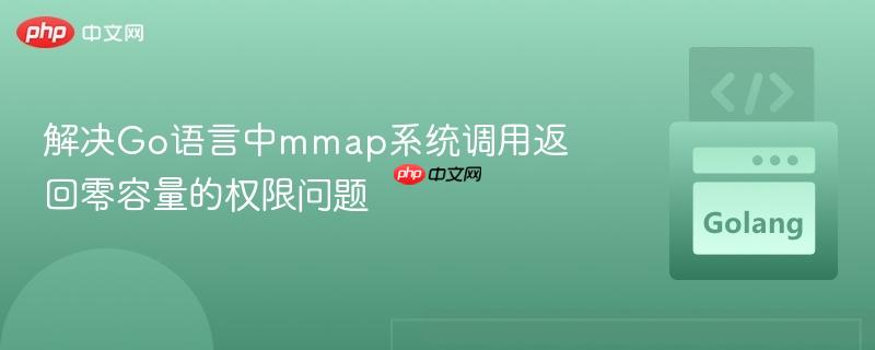 解决Go语言中mmap系统调用返回零容量的权限问题