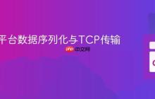高效跨平台数据序列化与TCP传输策略