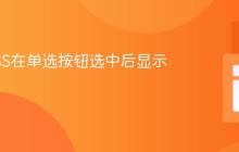 使用CSS在单选按钮选中后显示文本