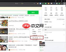 360安全浏览器如何打开控制台
