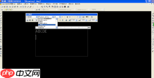 AutoCAD2007如何在图纸上添加文字