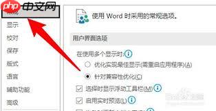 如何在Word中关闭实时预览功能