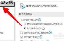 如何在Word中关闭实时预览功能