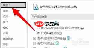 如何在Word中关闭实时预览功能
