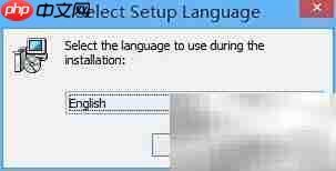 Registry Life安装指南