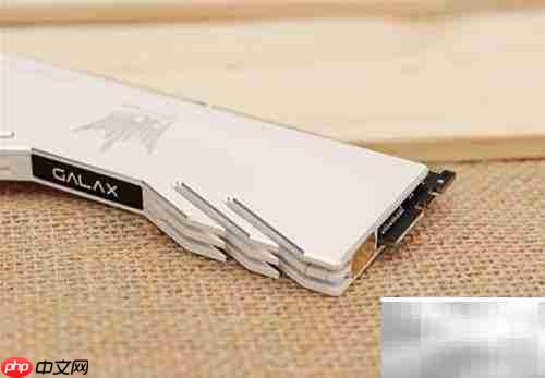 名人堂EXTREME内存深度解析