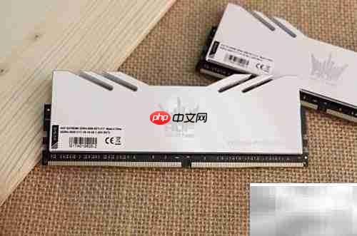 名人堂EXTREME内存深度解析