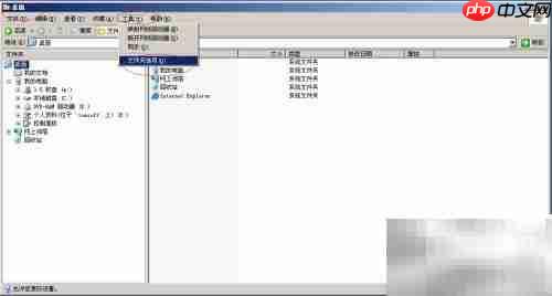 Win Server 2003彩色显示压缩文件
