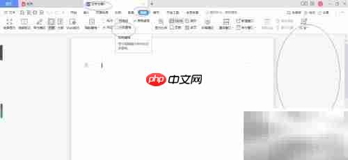 WPS文字2022任务窗格设置