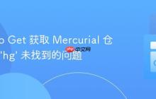 解决 Go Get 获取 Mercurial 仓库包时 ’hg’ 未找到的问题