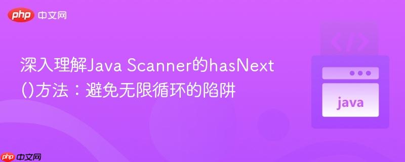 深入理解Java Scanner的hasNext()方法:避免无限循环的陷阱