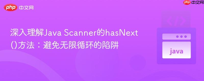 深入理解Java Scanner的hasNext()方法：避免无限循环的陷阱

