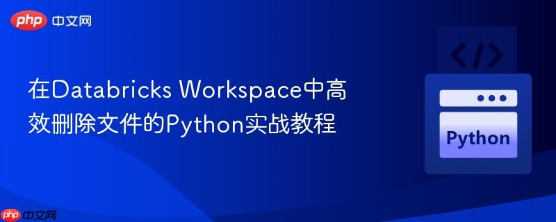 在Databricks Workspace中高效删除文件的Python实战教程