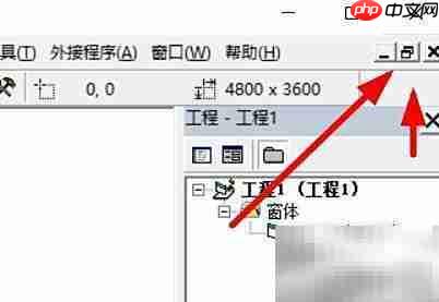 VB窗口最大化方法