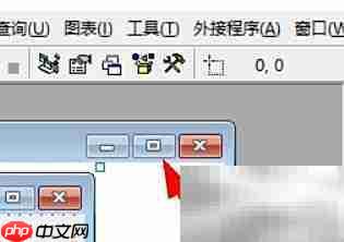 VB窗口最大化方法