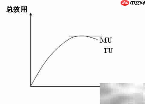 总效用计算方法详解