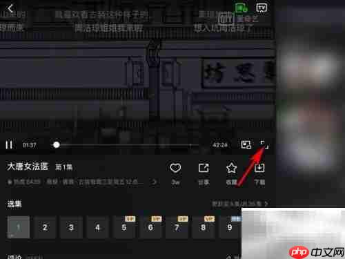 大唐女法医观看指南