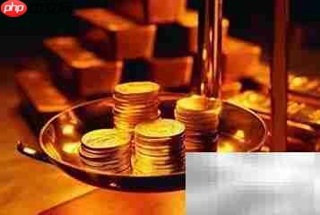 新手必看：技术宏观投资入门