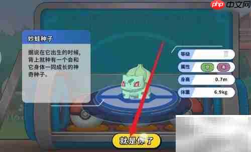 掌机小精灵通关秘籍