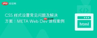 CSS 样式设置常见问题及解决方案：META Web Dev 课程案例